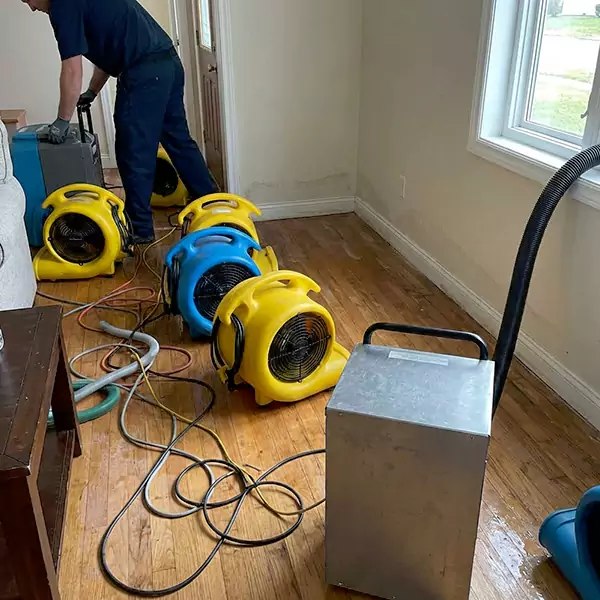 Water Mitigation Services in Coconut Creek, FL