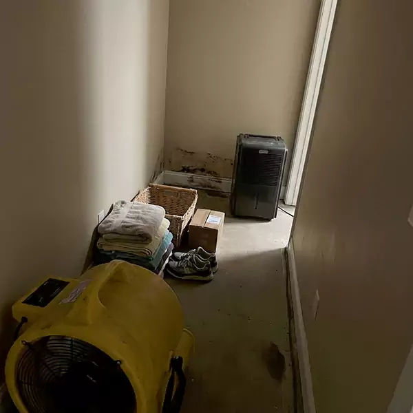 Expert Water Remediation in Coconut Creek, FL 