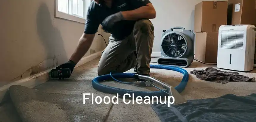  Flood Cleanup 