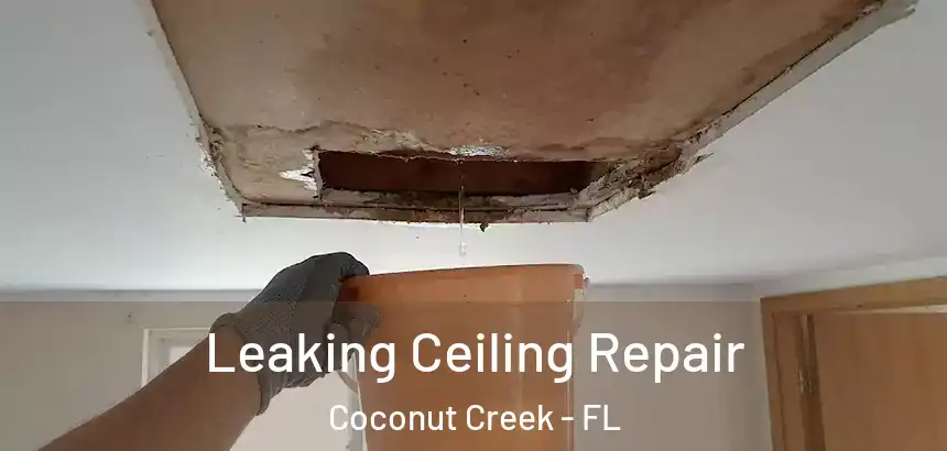  Leaking Ceiling Repair Coconut Creek - FL