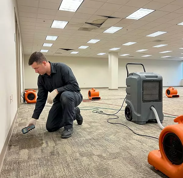 Why Businesses Choose Coconut Creek Water Restoration for Commercial Water Damage in Coconut Creek, FL?